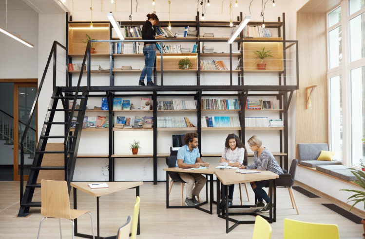 Ladder Shelves Are Not Just for Decoration